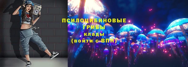 твердый Козельск