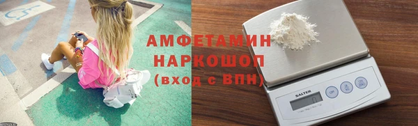 твердый Козельск