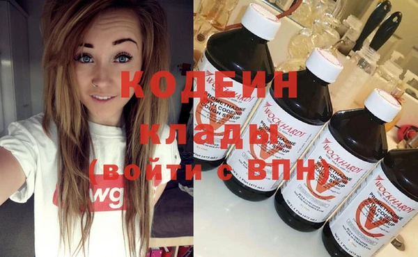 твердый Козельск
