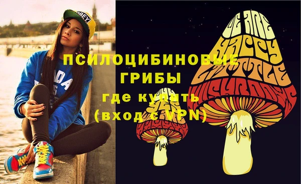 mdpv Кодинск
