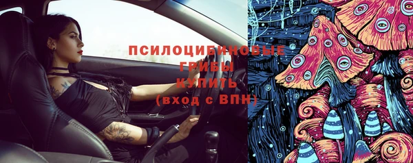 mdpv Кодинск