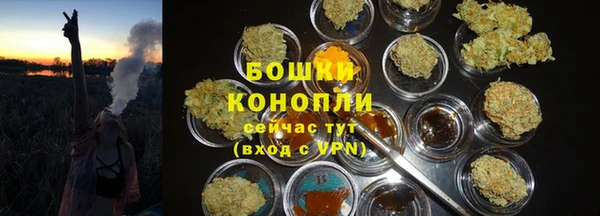 твердый Козельск